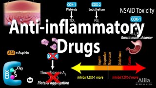 Antiinflammatory NSAIDs Drugs Pharmacology Animation [upl. by Zehe]