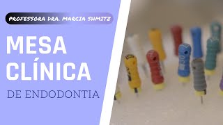 MESA CLÍNICA EM ENDODONTIA INSTRUMENTAÇÃO MANUAL [upl. by Vod]