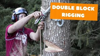 Double block rigging  Tree rigging systems [upl. by Nylorahs]