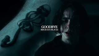 Regulus Black  Goodbye [upl. by Eramal]