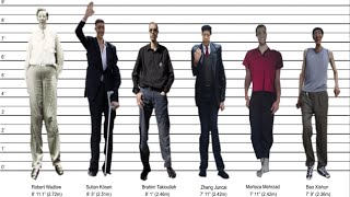 Tallest Man Ever  By Country [upl. by Head]