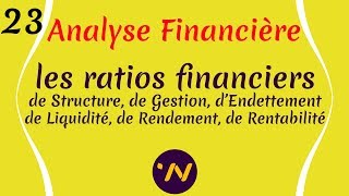 23 Analyse financière les ratios financiers [upl. by Daune]