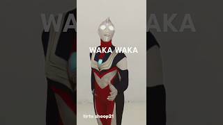 Waka Waka Shakira [upl. by Anillehs]