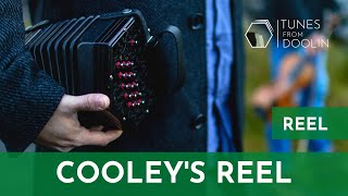 COOLEYS REEL Reel  Irish Music Tunes on Concertina 🎵☘️ [upl. by Tad]