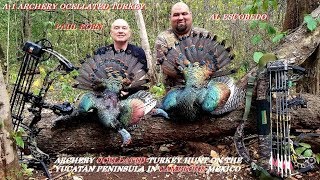 Archery Ocellated Turkey hunt on Yucatan Peninsula in Campeche Mexico Bow amp Arrow [upl. by Hairabez]