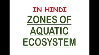 Aquatic Ecosystem Zones  PhoticAphotic Limnetic Pelagic Intertidal Neritic In Hindi [upl. by Kaia461]