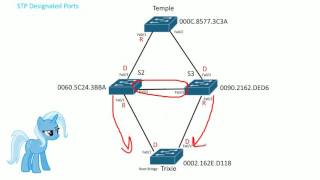 STP Designated ports [upl. by Edward]