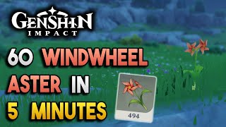 Windwheel Aster Locations  Fast and Efficient  Ascension Materials 【Genshin Impact】 [upl. by Ihel]