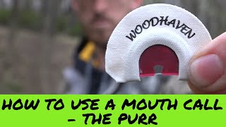 How to use a MOUTH TURKEY CALL  PURRING [upl. by Roberto753]