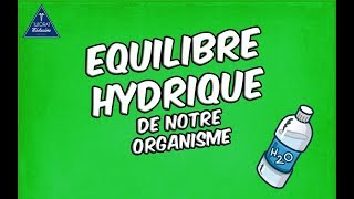 Équilibre hydrique de lorganisme [upl. by Ebba]