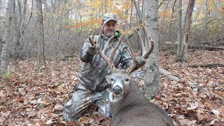 Whitetail Edge Massive 183quot Ohio Early Rut Buck [upl. by Enovahs]