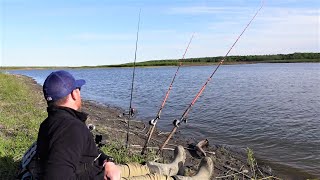 How to Catch MORE Catfish Bank Fishing [upl. by Wilscam]