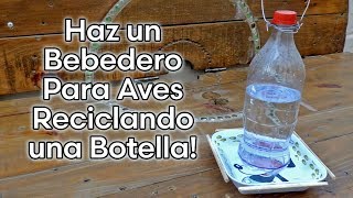 Como Hacer un BEBEDERO PARA AVES AUTOMÁTICO RECICLANDO UNA BOTELLA [upl. by Bej]