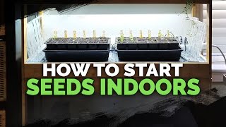 Seed Starting Indoors Under Grow Lights 101 [upl. by Barbabra]