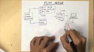 Fluorescence Lifetime Imaging Microscopy FLIM  Overview [upl. by Ike]