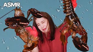 Mukbang 살아있는 가재 먹방🌊Live Lobster Sashimi クレイフィッシュ gia tài กุ้งนาง 螯蝦屬 Eatingsound Realsound ASMR [upl. by Coke]