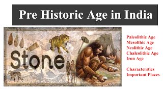 PLSHistory L01Paleolithic Age Mesolithic Age Neolithic Age Chalcolithic Age Iron Age [upl. by Lednam849]