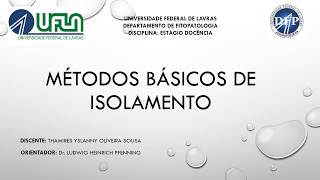 Métodos Básicos de Isolamento de fungos fitopatogênicos [upl. by Ilwain]