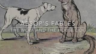 Aesop’s Fables The Wolf and the House Dog Narrated by Jon Wilkins [upl. by Ititrefen17]