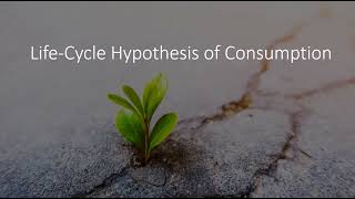 LifeCycle Theory of Consumption [upl. by Tigram]