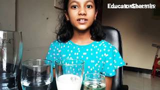 STEM Miscible and immiscible Liquids Science EducatorSharmin [upl. by Tinor]