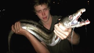 EP 2  MONSTER EEL FISHING  Catch n Cook  Using Freshly Caught MULLET  TDK [upl. by Samtsirhc]