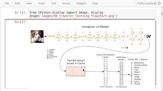 TensorFlow Tutorial 08 Transfer Learning [upl. by Tavi]