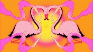 Flamingosis  Nebula Gazer Visualizer [upl. by Filmore54]