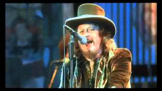 Zucchero Live In Italy  Cosi Celeste [upl. by Hendren]