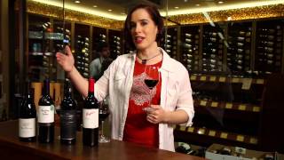 Pinot Noir Merlot Cabernet Sauvignon Shiraz Syrah  Red Wine Guide [upl. by Tamar]