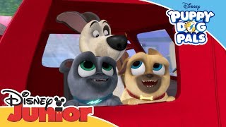 Puppy Dog Pals  Fire Truck Time Song  Official Disney Channel Africa [upl. by Clint]