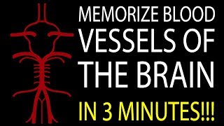 MNEMONIC Brains Blood Supply MEMORIZE in 3 Minutes [upl. by Anes]