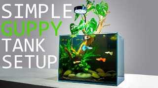 How to Setup a Simple Guppy Fish Tank TUTORIAL [upl. by Ilera429]