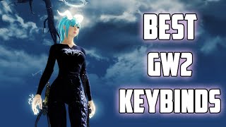 GW2  BEST KEYBINDS amp SETTINGS FOR BEGINNERS [upl. by Sammy552]