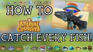 How To Catch Every Fish in Animal Crossing New Horizons  New Horizons Fishing Guide [upl. by Naie]