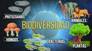 ¿QUÉ ES LA BIODIVERSIDAD [upl. by Suiramed]