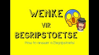 Begripstoets  How to answer a Begripstoets  Afrikaans FAL [upl. by Toolis]