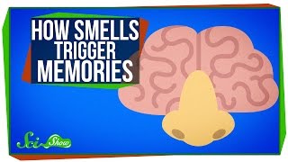 How Smells Trigger Memories [upl. by Edijabab]