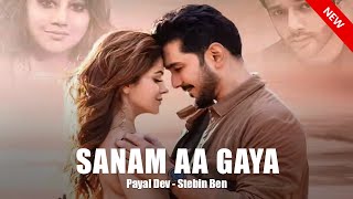 Sanam Aa Gaya Song  Payal Dev  Stebin Ben  Kunaal Vermaa  Rubina Dilaik Abhinav  New Love Song [upl. by Anwahsak]