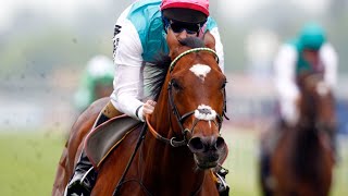 Frankel  2012 JLT Lockinge Stakes [upl. by Neitsabes475]