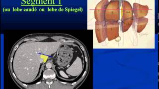 Segmentation et Vascularisation hépatique partie 1 [upl. by Ecyoj]