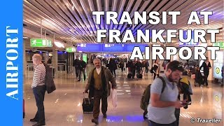 TRANSIT WALK AT FRANKFURT Airport FRA Terminal 1  Connection Flight Transfer Arriving amp Departing [upl. by Pain]