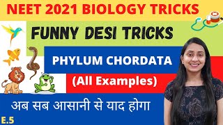 NEET BIOLOGY TRICKS PHYLUM CHORDATA [upl. by Mascia257]