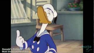 The History of Donald Duck [upl. by Uball52]