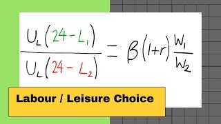 Intertemporal Labour and Leisure Choice [upl. by Irtemed818]