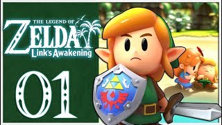 Legend of Zelda Links Awakening Remake Walkthrough Part 1 Mysterious Island Nintendo Switch [upl. by Marguerie]