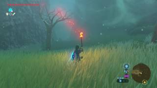 Zelda BotW  Lost Woods walkthrough [upl. by Oulman]