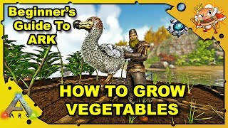 How to Get Started in ARK  A Beginners Guide How To Grow Vegetables  Ark Survival Evolved S4E6 [upl. by Hteazile]