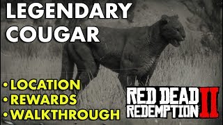 Red Dead Redemption 2  Legendary Cougar Location Rewards Walkthrough [upl. by Lula64]