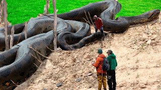 6 Real Pieces of Evidence The Titanoboa is Still Alive [upl. by Adaj]